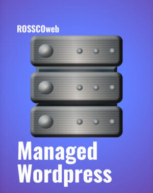 Icon Graphic of Managed Wordpress Server